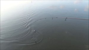 Плавающий  cвимбейт Izumi Shad Alive 106FL