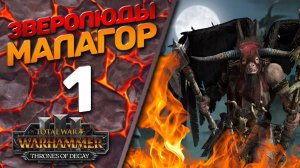 Total War: Warhammer 3 - (Легенда) - Зверолюды | Малагор #1 Все х*йня давай сначала!