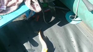 Конец августа, Щучье озеро, Бурятия