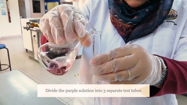 Experiment 5 : CHEMICAL EQUILIBRIUM