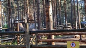 Зоопарк / Московский Зоосад Деда Мороза в Великом Устюге/ Пруд где рыбачит Дед Мороз