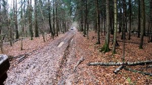 Обкатываем новый BRP XMR 1000R | Покатушки на квадроциклах.