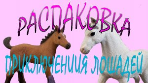Приключения лошадей, часть 2, Распаковка