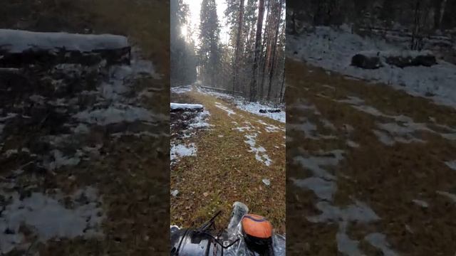 "Девушка,мы не ангелы" Лес ,осень ,красота.? смотреть онлайн