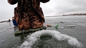 Ловля ЧЕХОНИ и ЗАБАНА на гирлянду, на реке ДОН. Клюёт, как только опускаю насадку!