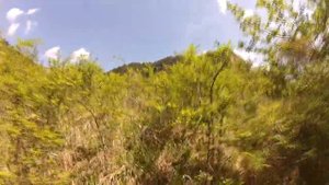 Телевышка Кисловодск. Пешком 14 км. за 6 часов.