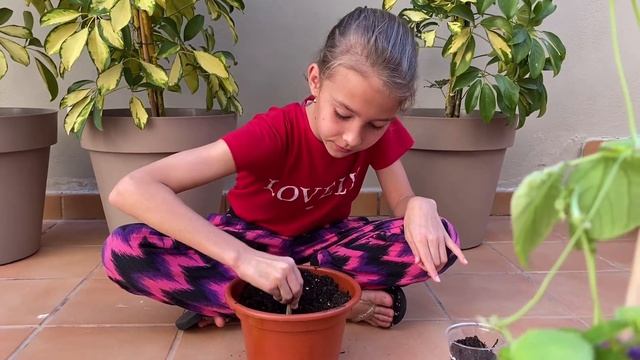 Пересаживаю чечевичный кустик или как Ева вырастила боб/Eva Mark & Ines смотреть онлайн