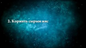 К чему снится много щенков - Онлайн Сонник Эксперт