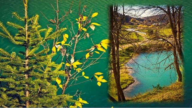 Сарва Башкирия Резеда смотреть онлайн