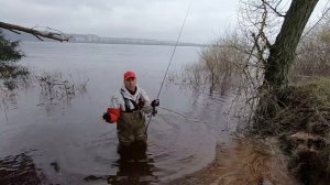 ⚡ AZURA. SAWADA XP ⚡  Моя нова співучасниця у ловлі судака. 🤡