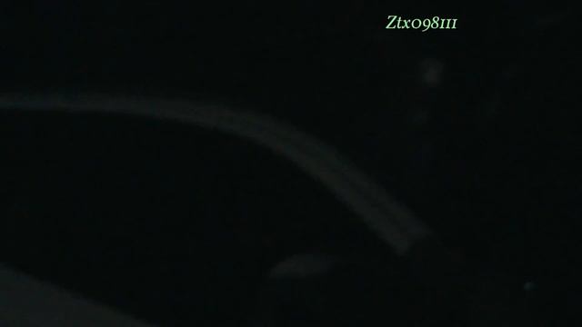 Полицейский экипаж бла бла бла!!! смотреть онлайн