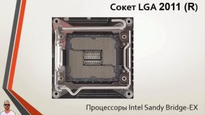 Центральный процессор: Intel 2011 г. Sandy Bridge