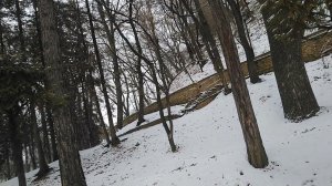 Плюсы и Минусы Жизни в Кисловодске и регионе КМВ