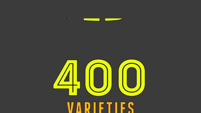 Nerium Oleander: Plant Profile смотреть онлайн