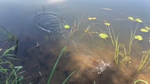 24 часа на рыбалке ЧЕЛЛЕНДЖ