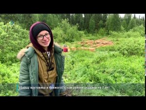 Маньпупунер становится доступнее