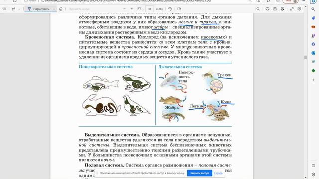 15. Органы и системы органов животных