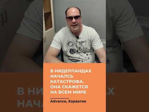 В Нидерландах началась катастрофа. Она скажется на всем мире