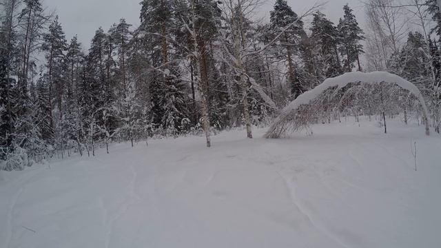 Тайга, снег, красота!!! смотреть онлайн