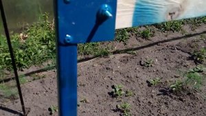 Шпалера для огурцов (раскладная)