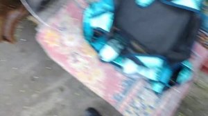 Коляска Riko Wozek Driver