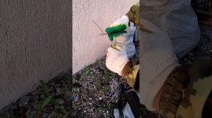 как очистить стекловолокно с обмотки трансформатора