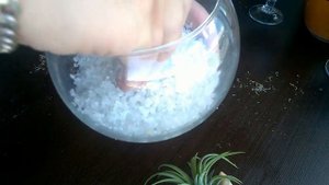 DIY Флорариум с ТИЛЛАНДСИЕЙ. Florarium.Terrarium. Tillandsia.