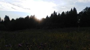 Пасека в лесу.Качка меда 2021.Качаем мед