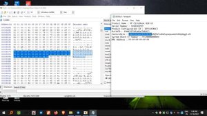 HP DMI DATA INJECT OLD BIOS TO NEW BIOS