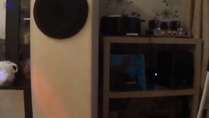 ГДШ 75 труба войта видео 4