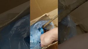 Штамбовые розы от Розафлора