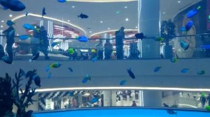 г. Москва ТЦ Океания, Аквариум.