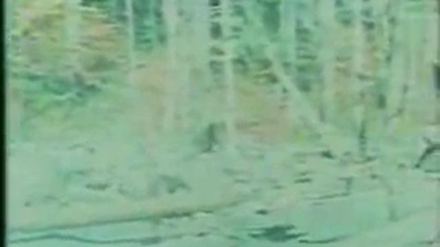 Снежный человек (реальные съемки) смотреть онлайн