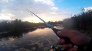 Обзор удилища Maximus Zenith-X 24L