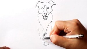 Как нарисовать Собаку Правильно