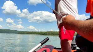 рыбалка на косынки. отдых на Павловском водохранилище
