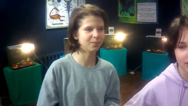 Пауки-гиганты в Серпухове 2022 смотреть онлайн