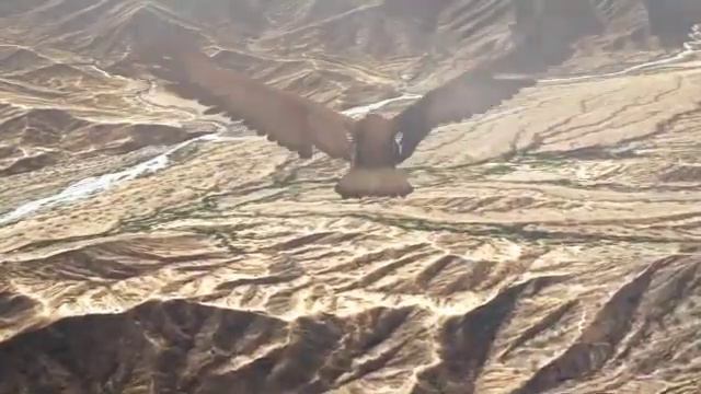 electro lounge music 2009 lounge chilout music