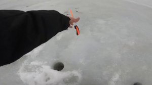 Ловля КОРЮШКИ на Финском заливе. Зимняя рыбалка 2024