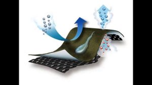 Гидроизоляция и пароизоляция Влажность в квартире и доме Как улучшить микроклимат помещений