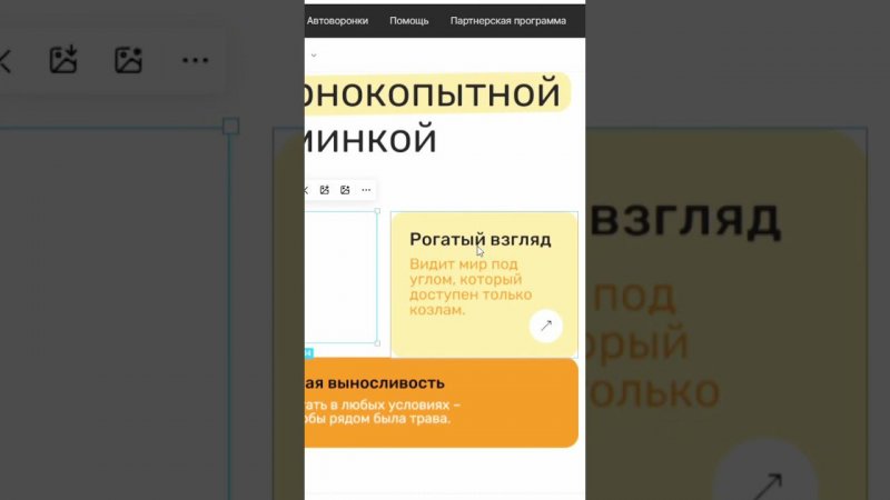 Какую бы вы ещё добавили информацию на сайт для бывшего? #сайт #фриланс #бывший #фрилансеры #козел