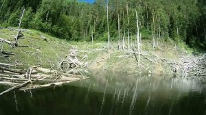 Щука на твичинг . Саяно-Шушенское водохранилище