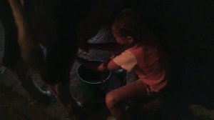 Ребёнок доит корову