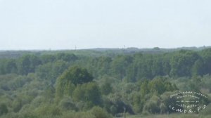 Глазов город детства
