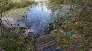 Тестирую DJI OSMO Action 4