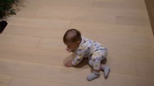 VLOGmas // Купили нашу первую ёлку // Наматываю гирлянду росу 4 часа // Сходили на концерт