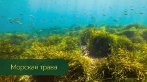 Как правильно выбрать наполнитель матраса?