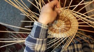 Ива козья. Особенности работы с ломкой ивой. Часть 2