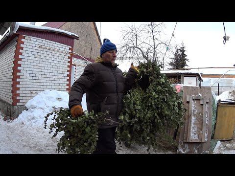 Березовые веники для коз