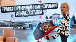 Авиодоставка и коробки для тюльпанов